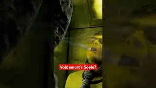 Kann ein Dementor Voldemort&lsquo;s Seele saugen? #harrypotter
