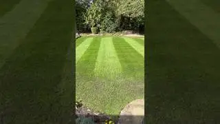 Triple lawn stripes. #garden #lawncare