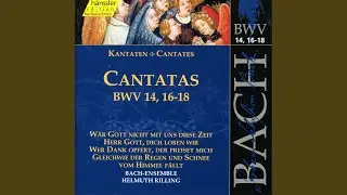 Herr Gott, dich loben wir, BWV 16: Recitative: Ach treuer Hort (Alto)