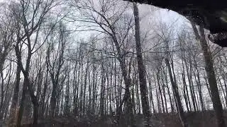 Dundee Falls