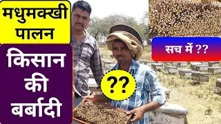 मधुमक्खी पालन से बर्बाद हो जाएंगे किसान क्या सच में ?? Honey Bee Keeping Farming - Agritech Guruji