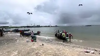 ASMR Fishing Market Sounds | Kollam Port Kerala | Raw Coastal Ambience for Relaxation 🌊