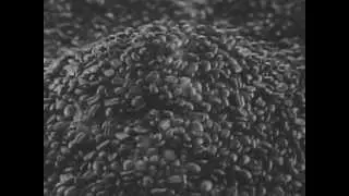General Foods - Instant Maxwell House Coffee - Right Off The Roaster - Vintage Commercial  - 1960s