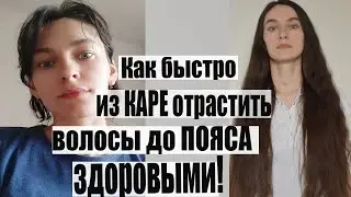 Из КАРЕ ВОЛОСЫ ДО ПОЯСА. Как отрастить здоровые и красивые волосы: уход в домашних условиях