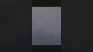 Birds roaming around for shelter #videography  #nature #popular #wildlife #weather #rain #viralreel