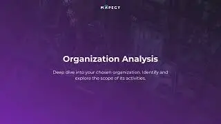 Unlocking Business Growth with Data-Driven Organization Analysis | MAPEGY