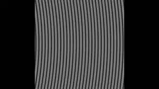 Spinning disk confocal simulation - disk scanning
