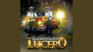 Corazoncito Tirano