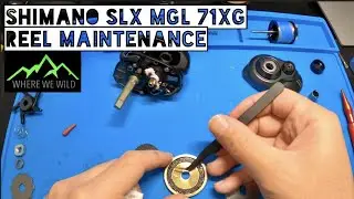 SHIMANO SLX MGL 71XG - Take Apart & Reel Maintenance