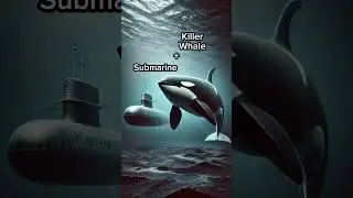 machine and animal hybrids. which One is the best.