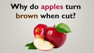 Why do apples turn brown when cut? ||GK ||GK with prima|