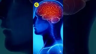 Cold Water Cause Memory Loss ? #shortfeeds #medical #shorts #new  #trending