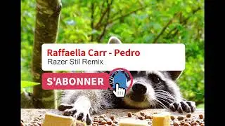 Raffaella Carr - Pedro (Razer Stil Remix) DNB Drum and bass PEDRO