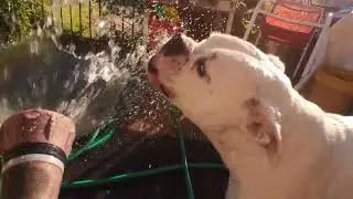 always ready for a drink