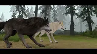The wolf 🐺 sad 😢 story 