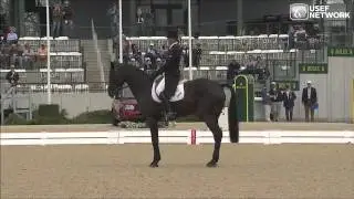 Andrew Nicholson & Quimbo - Rolex 2013 Dressage