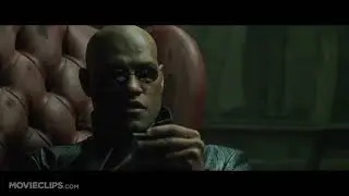 Blue Pill or Red Pill   The Matrix 2 9 Movie CLIP 1999 HD