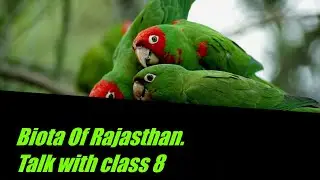 Biodiversity of Rajasthan.