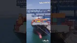 Essential Documents for Cargo Shipping #maritimesafety #oiltanker #sea #fact #marine #cargo #me #all