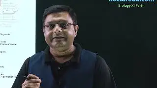 Class 11 Biology | Structural Organisation in Animals - XVIII