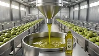 Inside the Premium Olive Oil Facility &ndash; (Full Process) How Ultra-Luxury Oils Are Made