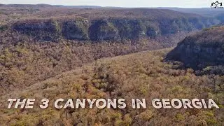 3 Georgia Canyons Explained | (Providence, Cloudland, Tallulah Gorge)