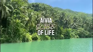 AIVIA: TRAVEL, FOOD TRIP, SCHOOL, STUDY, DUTY
