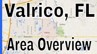 Overview of Valrico FL - Lance Mohr - Tampa Realtor
