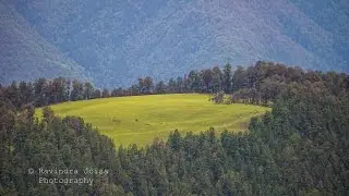 Didna Village to Ali Bedni Bugyal Trek | Roopkund Trek | Day 3 | S02E03