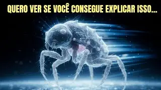 Acha Que é Inteligente? Então Tente Explicar ESSAS Criaturas!
