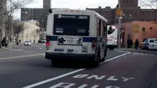 Orion V Black Back 6070 Q44 Limited Bus@Guy R. Brewer Boulevard/Archer Avenue