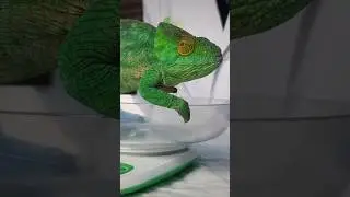 Запишись на прием!