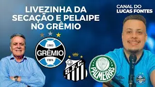 REACT AO VIVO SANTOS X PALMEIRAS | PELAIPE NO #GR&Ecirc;MIO