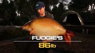 Fishing Sim World - Gigantica Lake