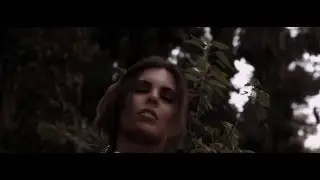 Mariposa Monarca | PINEDA COVALIN
