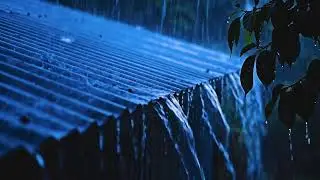 Heavy Rain Drumming on Tin Roof, Blue Night ASMR Ambience for Stress Relief and Sleep Sounds Night73