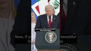 Trump calls Italy's Meloni 