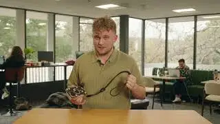 Hang Around - Charging Cable Lanyard