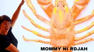 What's Cracking? A Claw-some Lobster Moment