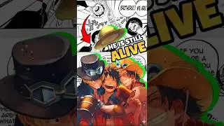 One piece Unknown Facts🤔  | #onepiece#anime#onepiecefacts#ace#hindi#explanation