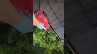 Gutter Cleaning. Call/Text  For Free Estimate.            TEL:. 360-450-8038