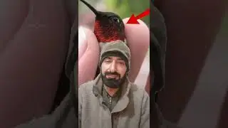India Pakistan reaction live stream 🇵🇰 SAFEER OFFICIAL 🇵🇰 Pakistan Army 🪖 ZINDABAD ✈️🇵🇰