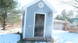 MY New Pigeon Loft! How Should I Design?
