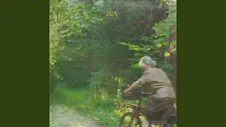 Оса