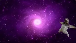 Sloth in Space