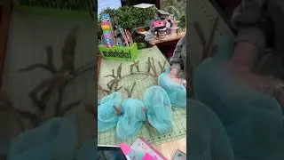 How to a Easter Bunny Butt Wreath using two different mesh methods by Krazy Mazie Kreations