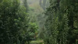 SLEEP in 10 MINUTES! - BEST SLEEP EVER - Sleep, Work, Study, Focus, Meditate, Relieve Stress/Anxiety
