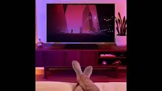 Review: Sonos Ray Compact Soundbar - Black | Immersive Sound Experience
