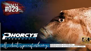 🐟 Phorcys Spearmedia #023 🌍 Nutrition and equlization? 🎬 2:02