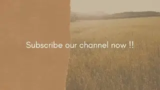 FR Softwares live comment section
